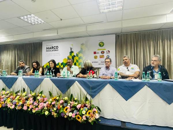 Marco Regulatório: Grupos de Trabalho tiram propostas para aprimorar o projeto