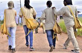 Uma avaliação sistêmica dos Agentes de Saúde e Endemias